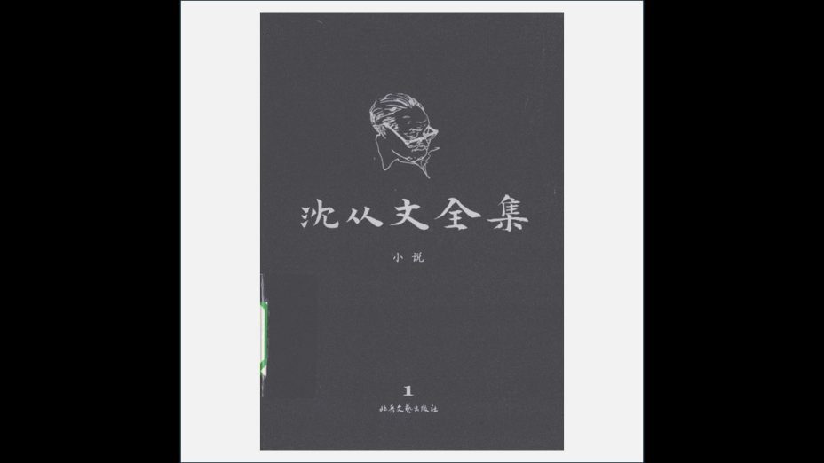 A03Ⅱ-034-002.《沈从文全集·第2版》全32卷存31卷 北岳文艺出版社2009
